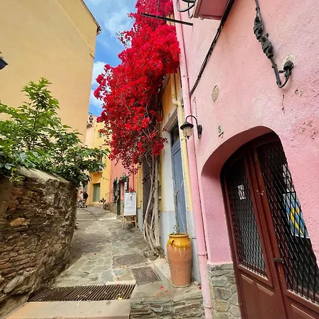4som23 Proche Centre-ville Collioure